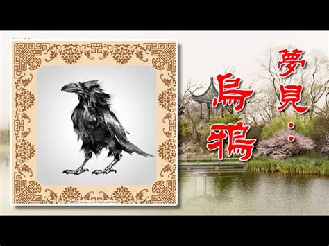 夢見鳥飛向自己|【夢見鳥飛向自己】夢兆大解密！夢見鳥飛向自己？潛在意義曝光。